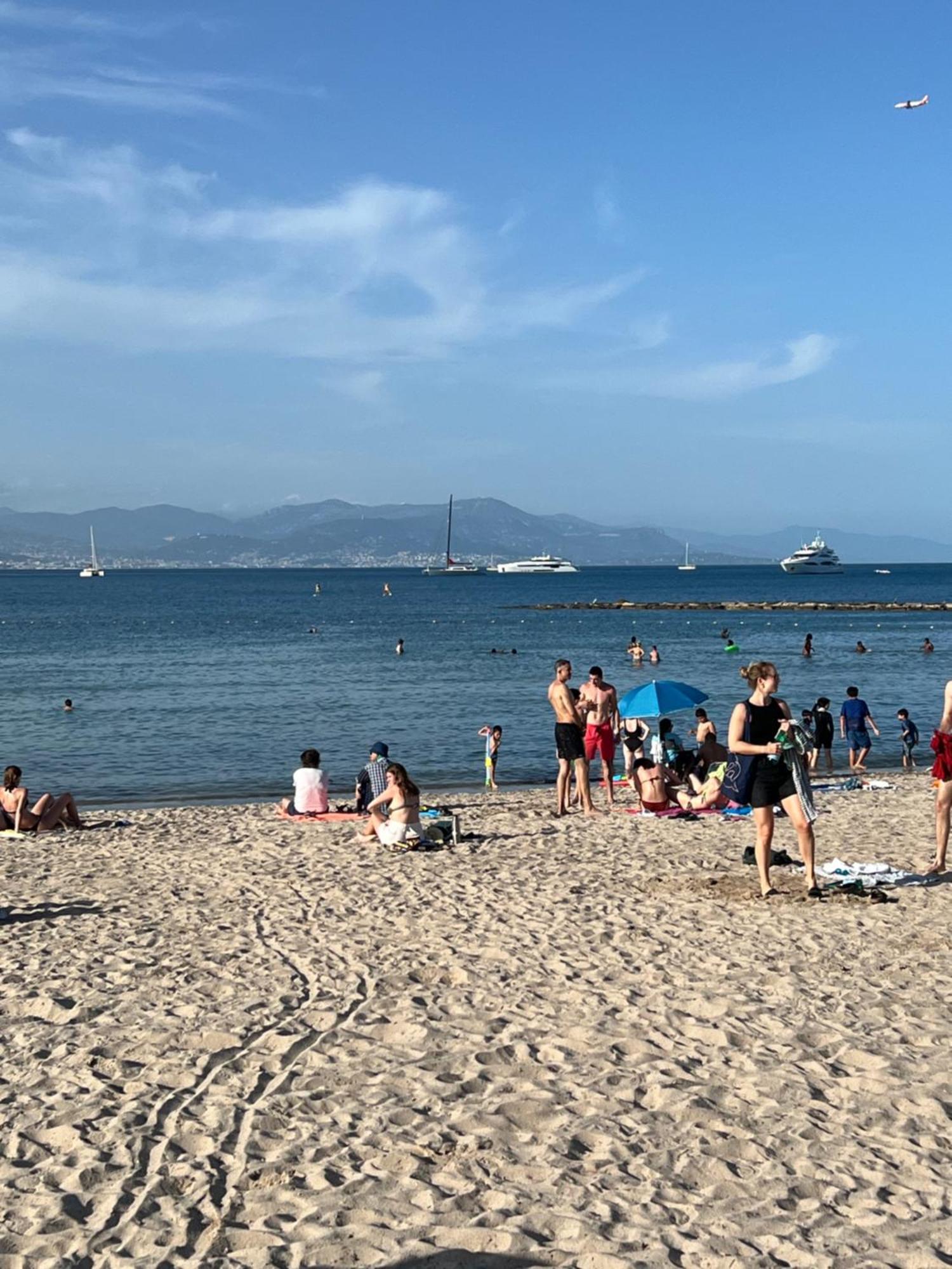 Magnifique Appartement Proche Des Plages Plus Garage Prive Antibes Eksteriør bilde