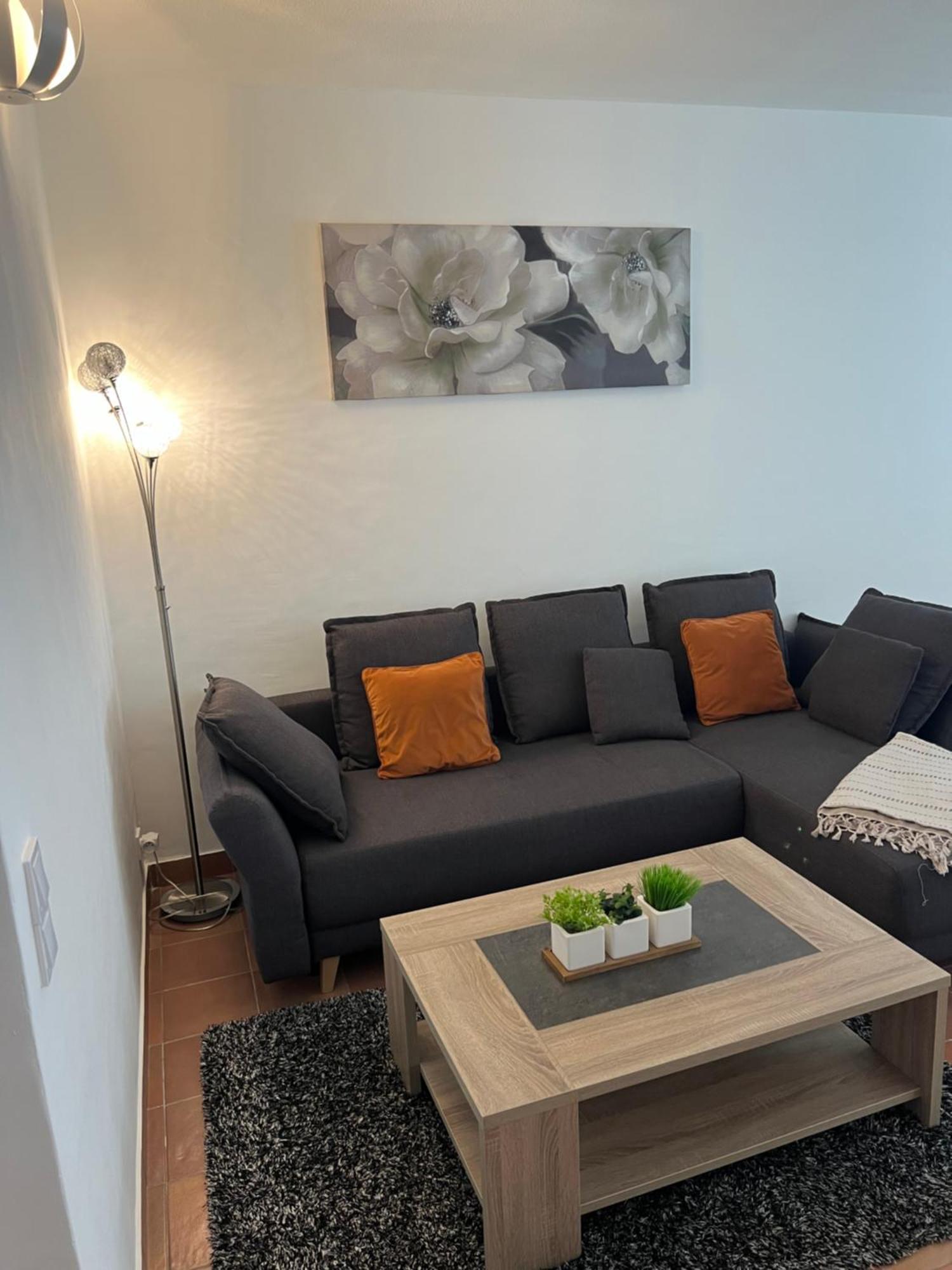 Magnifique Appartement Proche Des Plages Plus Garage Prive Antibes Eksteriør bilde